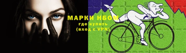 стафф Волоколамск