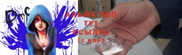 стафф Волоколамск